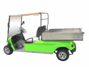 Bintelli Utility Street Legal Golf cart