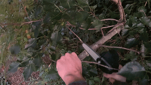 haxsaw slicing through branches