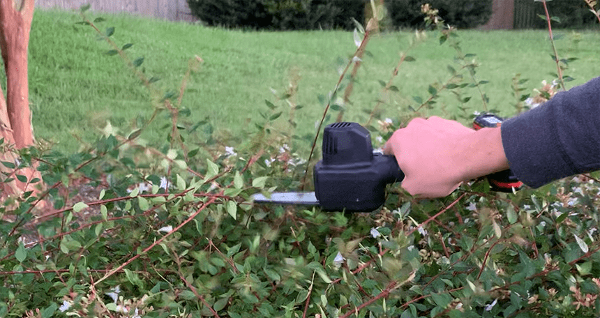 haxsaw trimming bushes easily